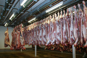 واردات گوشت تا ثبات بازار ادامه دارد