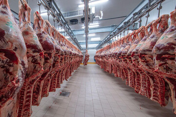 کاهش ۲۶درصدی عرضه گوشت قرمز در مردادماه