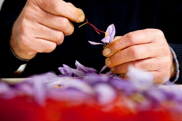 صادرات ۱۰۳ میلیون دلار زعفران در ۹ ماهه امسال