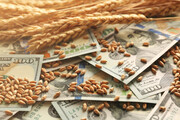 اصلاح شیوه تخصیص ارز ترجیحی به بخش کشاورزی