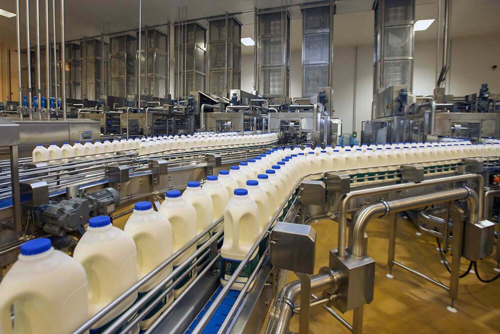 باید و نباید های افزایش نرخ شیر 