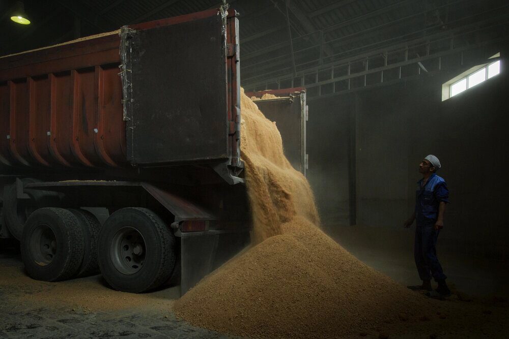 تولید باکیفیت، معیار سهمیه گندم کارخانجات آرد
