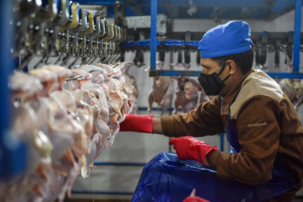 جریمه یک میلیارد تومانی برای گرانفروشی مرغ