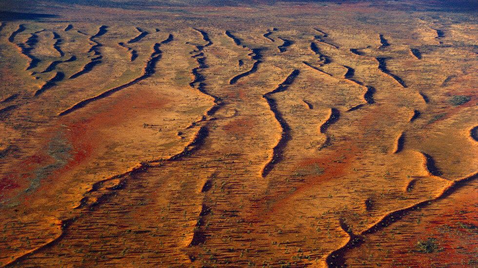 خشکسالی ۶۷ هزار میلیارد تومان خسارت به بخش کشاورزی وارد کرد 