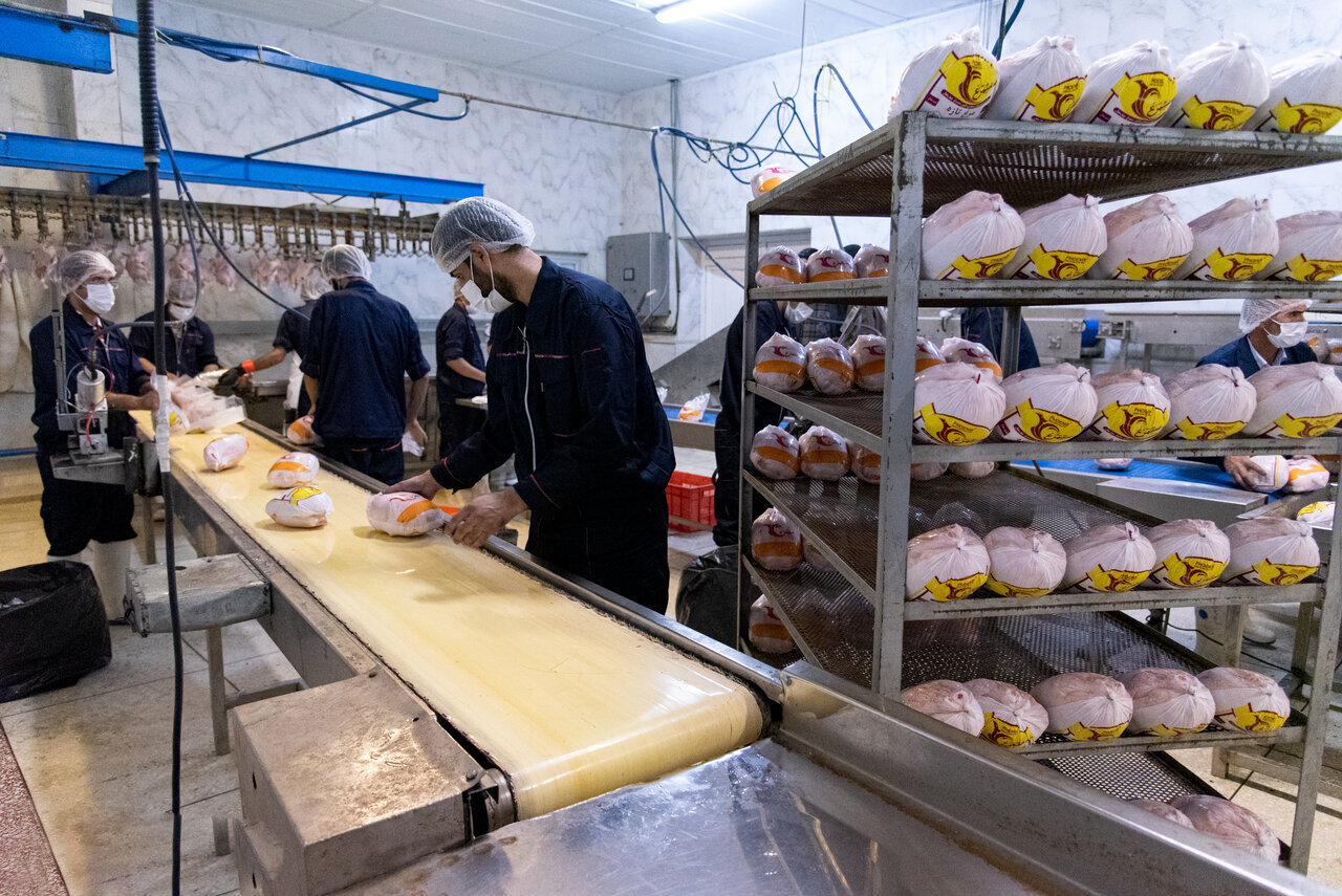 برنامه‌های وزارت جهاد برای کنترل بازار مرغ اعلام شد 