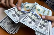 دلار از سبد ارزی ایران حذف می شود؟