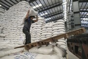 افزایش ۲۴ درصدی واردات برنج
