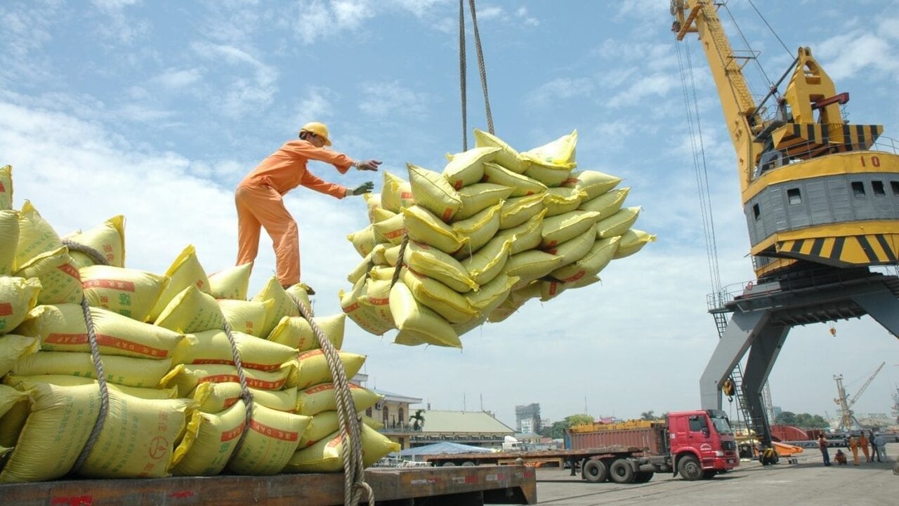 آغاز ترخیص ۱۵ هزار تن برنج