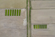 رصد تغییر کاربری اراضی کشاورزی با تصاویر ماهواره‌ای