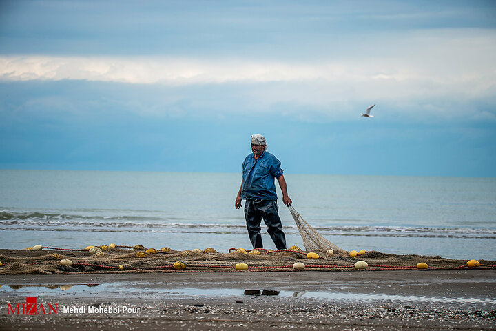 فصل صید ماهی استخوانی - مازندران