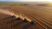 پیش‌بینی فائو از افزایش تولیدات کشاورزی ایران