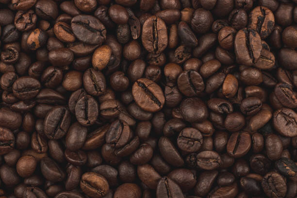 کشت و برداشت قهوه در جهان