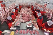 سرانه مصرف گوشت چقدر است؟