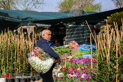 بازار گل و گیاه محلاتی در ایام نوروز