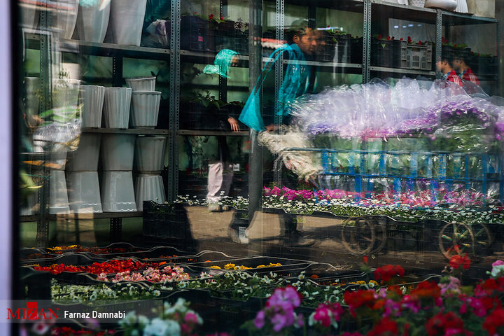 بازار گل و گیاه محلاتی در آستانه نوروز