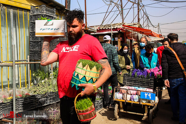 بازار گل و گیاه محلاتی در آستانه نوروز