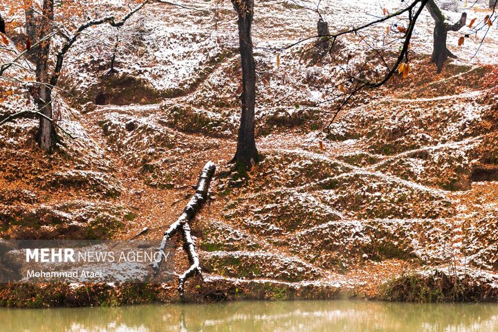 گل رامیان، عمیق ترین چشمه آب سرد جهان