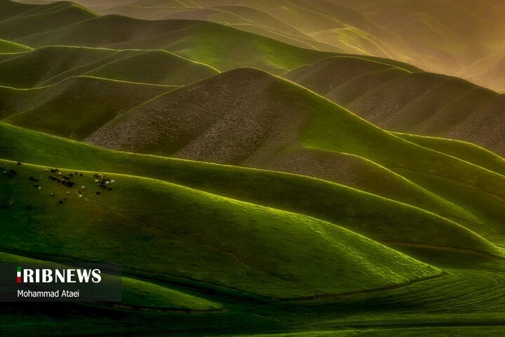 تپه‌های هزار دره، ترکمن صحرا