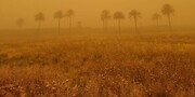 گرد و غبار چگونه به کشاورزی آسیب می‌زند؟