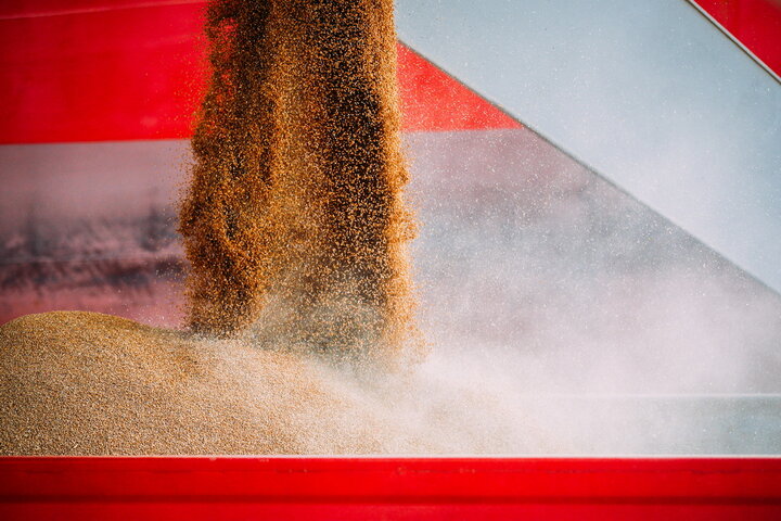 تخلیه ۷۰ هزار تنی گندم در چابهار