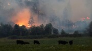 آتش سوزی و سیل در آمریکا
