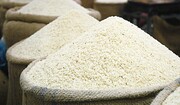 ثبت سفارش کالای استراتژیک برنج سیستمی می‌شود
