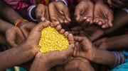 گزارش ناامیدکننده بانک جهانی از امنیت غذایی