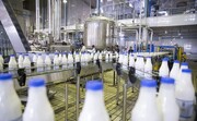 نرخ مصوب شیرخام ۱۵ هزار تومان اعلام شد
