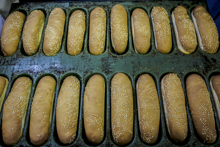 ‌صادرات نان صنعتی ممنوع شد
