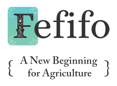 فی‌فای‌فو؛ لوبیای سحرآمیز در کارآفرینی کشاورزی