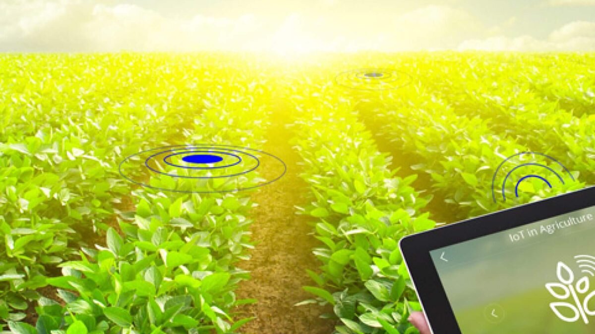 ۲۰ قرارداد تجاری‌سازی فناوری‌ کشاورزی بسته می‌شود