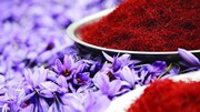 صادرات ۸۸ میلیون دلار زعفران به ۴۷ کشور دنیا