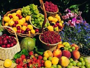 قیمت میوه و صیفی ۱۰ تا ۲۰ درصد کاهش یافت